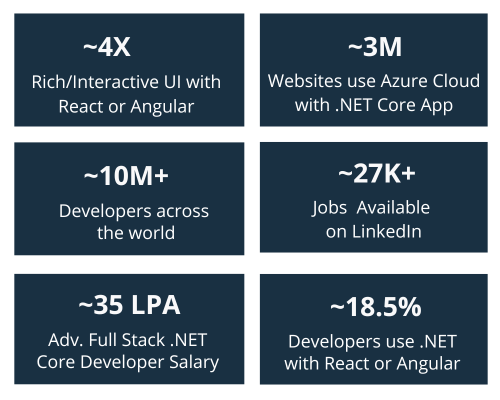 Advanced Full-Stack .NET Developer